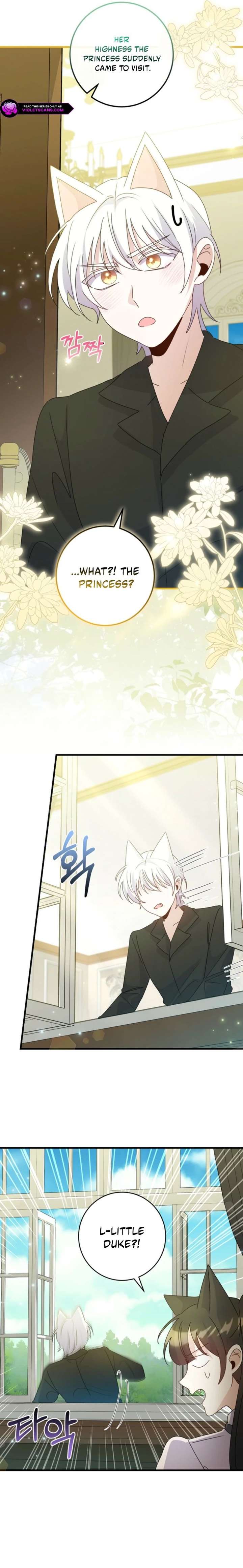 I Became the Wicked Beastman’s Catnip Chapter 47 - Page 17