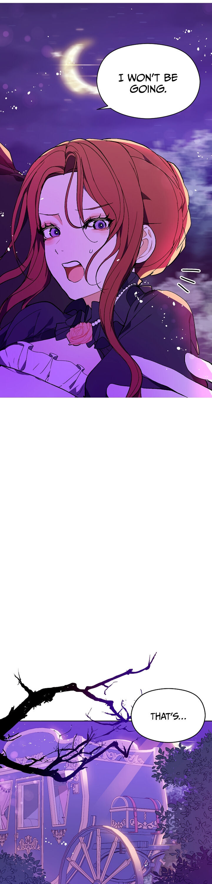 I Didn’t Mean to Seduce the Male Lead Chapter 11 - Page 13