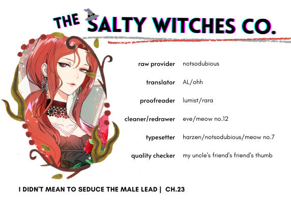 I Didn’t Mean to Seduce the Male Lead Chapter 23 - Page 26