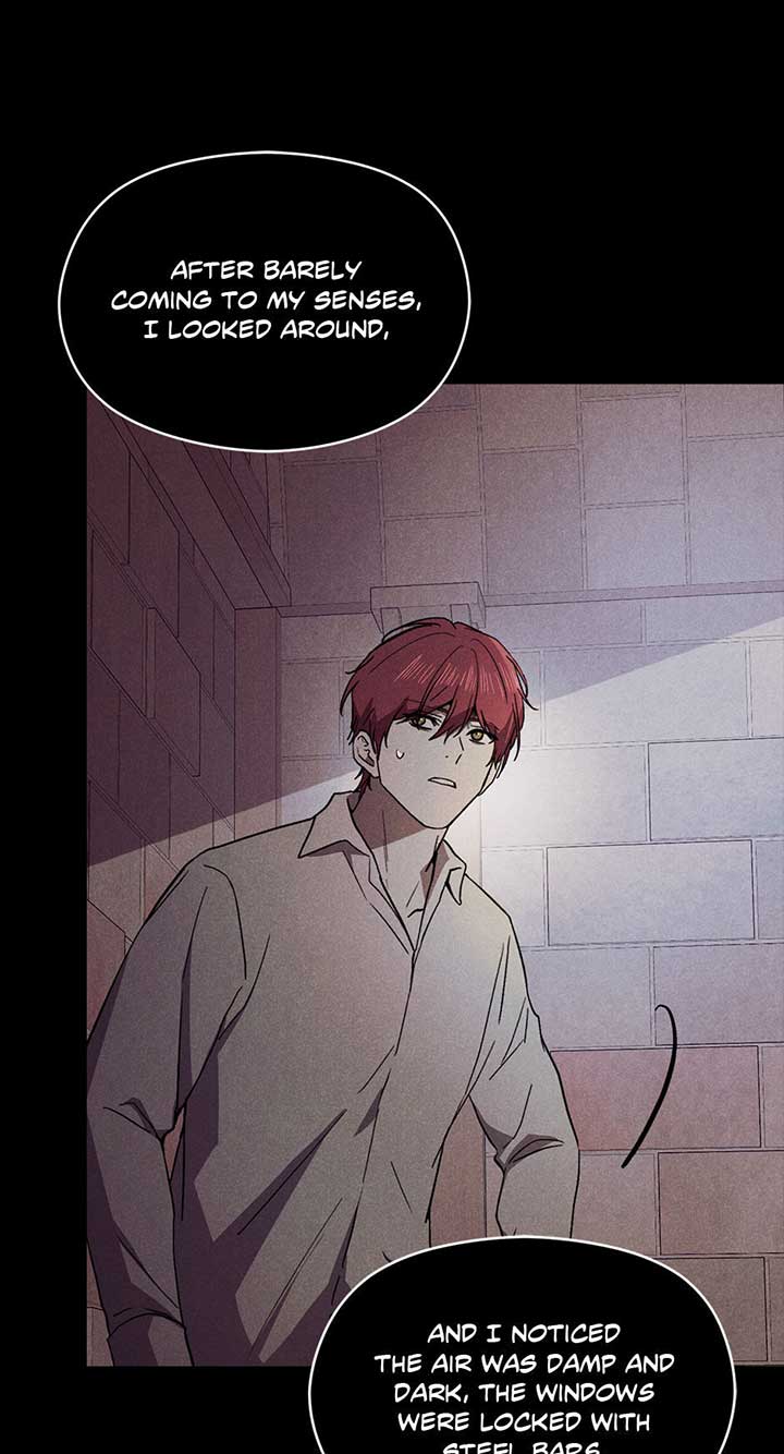 I Didn’t Mean to Seduce the Male Lead Chapter 91 - Page 5