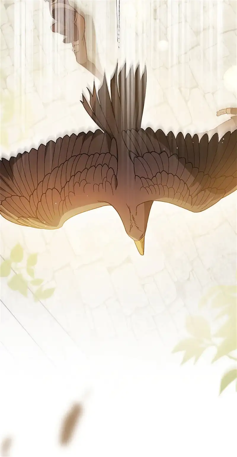 I Didn’t Mean to Seduce the Male Lead Chapter 96 - Page 11