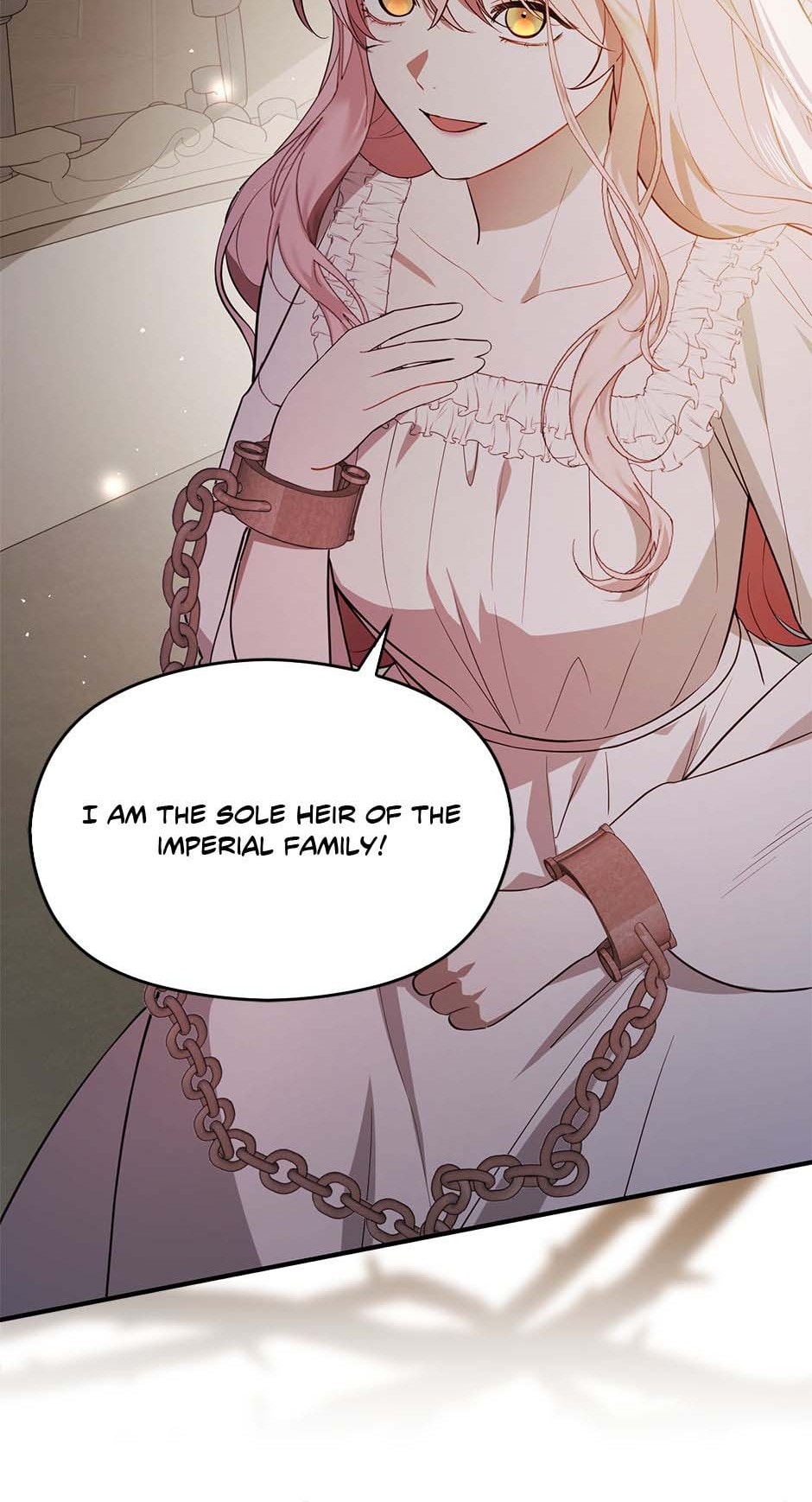 I Didn’t Mean to Seduce the Male Lead Chapter 99 - Page 49