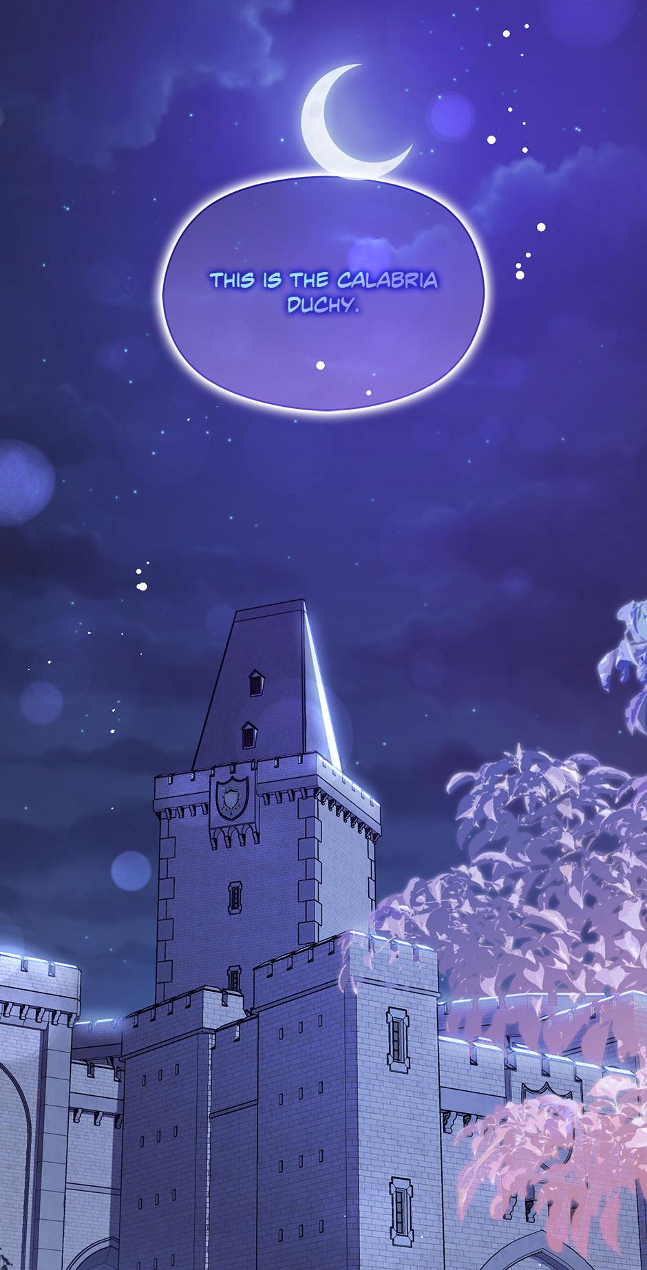 I Didn’t Mean to Seduce the Male Lead Chapter 111 - Page 15