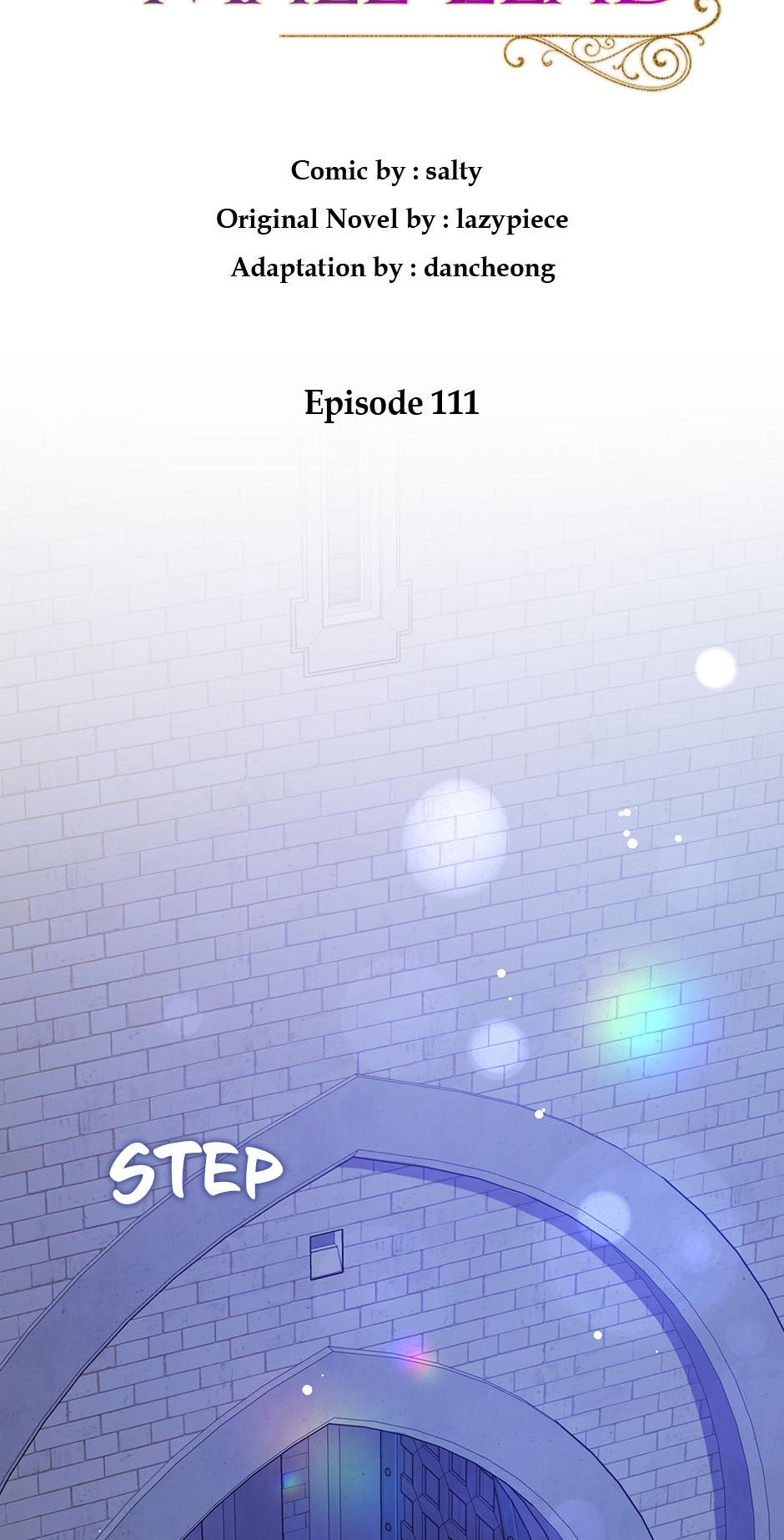 I Didn’t Mean to Seduce the Male Lead Chapter 111 - Page 17