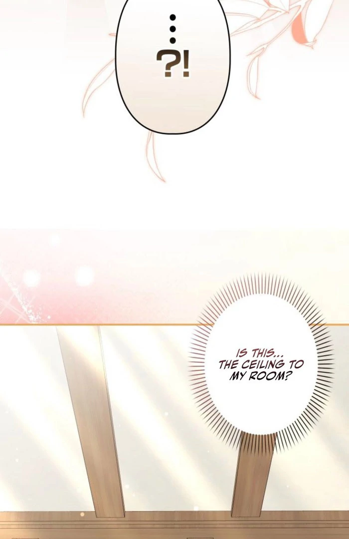 I Ended Up Becoming the Villain’s Personal Chef - Chapter 22 - 97