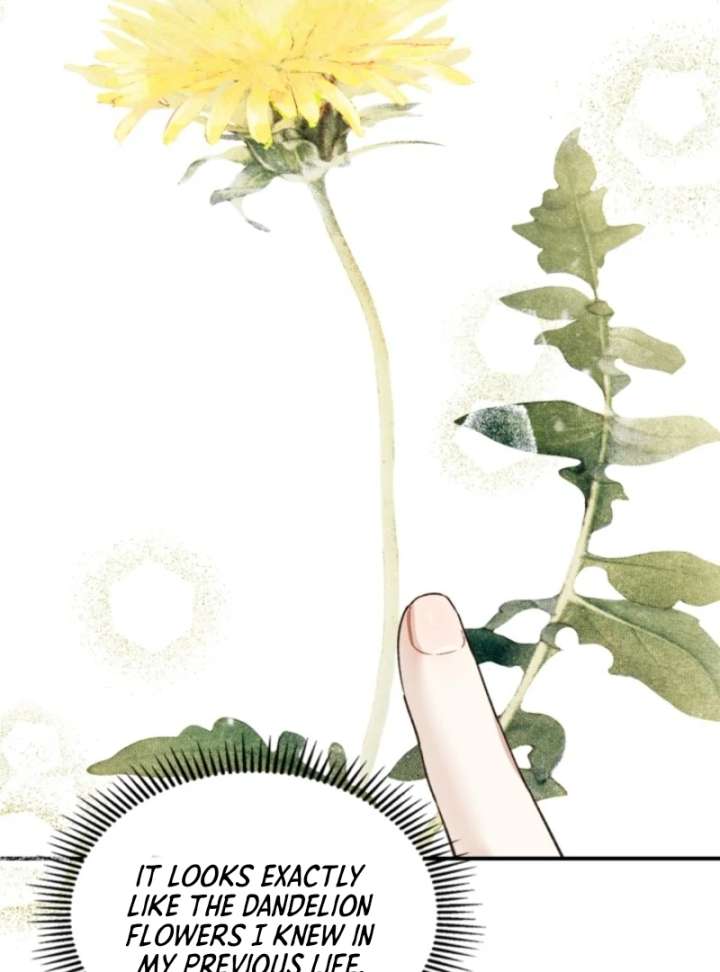 I Got Engaged To The Blind Duke Chapter 10 - Page 72