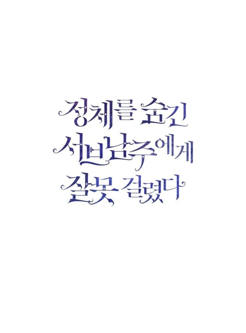 I Mistook the Hidden Identity of the Sub Male Lead Chapter 94 - Page 33