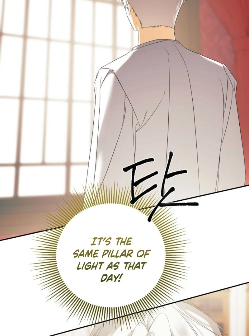 I Mistook the Hidden Identity of the Sub Male Lead Chapter 99 - Page 93