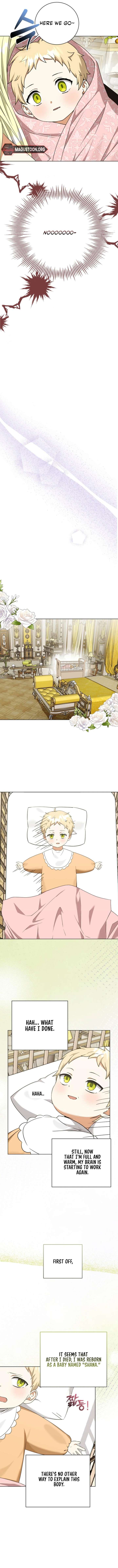 I Opened an Illegal Veterinary Clinic in Another World Chapter 2 - Page 7