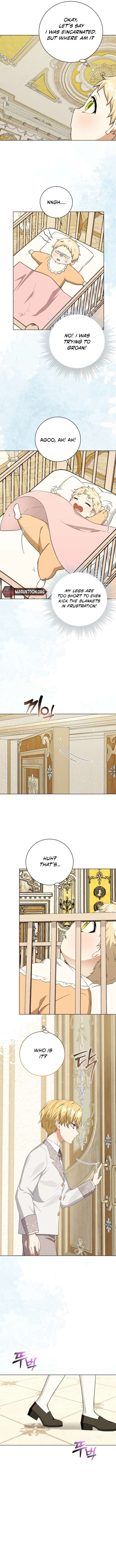 I Opened an Illegal Veterinary Clinic in Another World Chapter 2 - Page 8