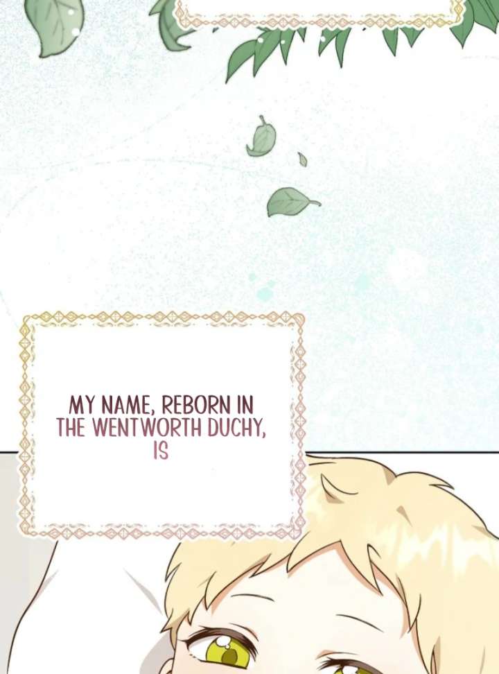 I Opened an Illegal Veterinary Clinic in Another World Chapter 3 - Page 25