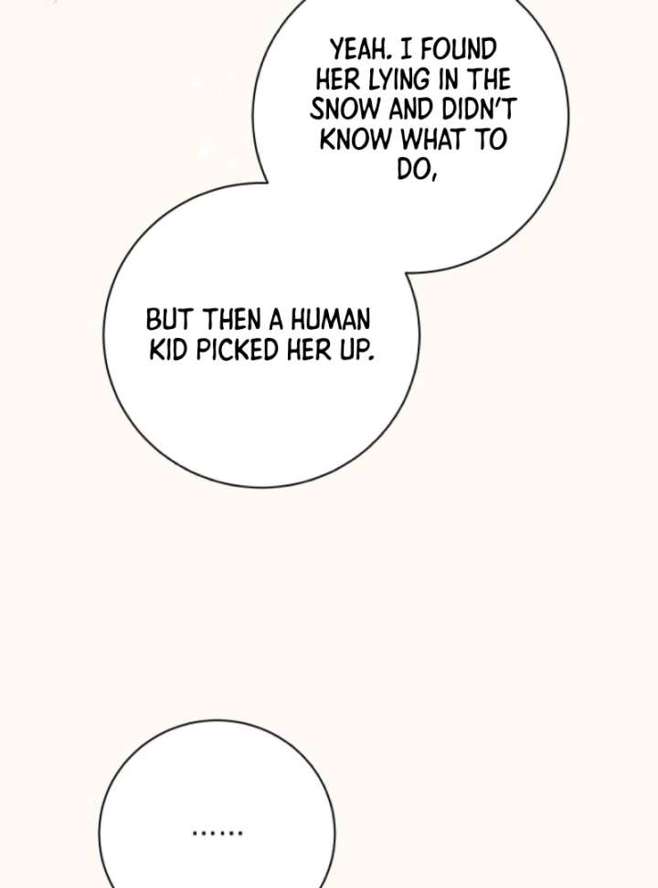 I Opened an Illegal Veterinary Clinic in Another World Chapter 3 - Page 110