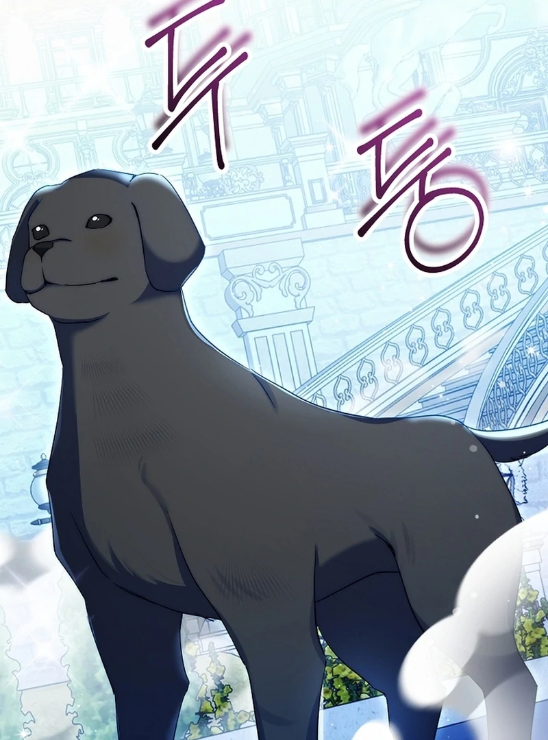 I Opened an Illegal Veterinary Clinic in Another World Chapter 15 - Page 117