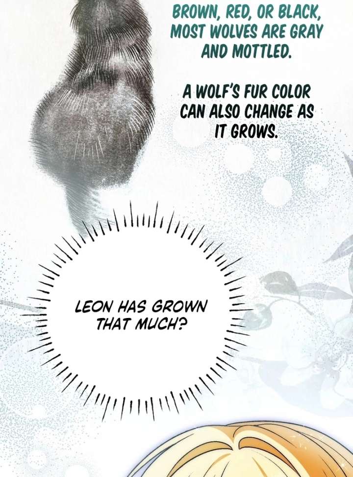 I Opened an Illegal Veterinary Clinic in Another World Chapter 18 - Page 135