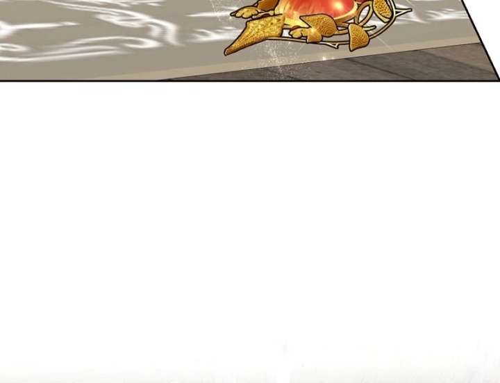 I Opened an Illegal Veterinary Clinic in Another World Chapter 25 - Page 100