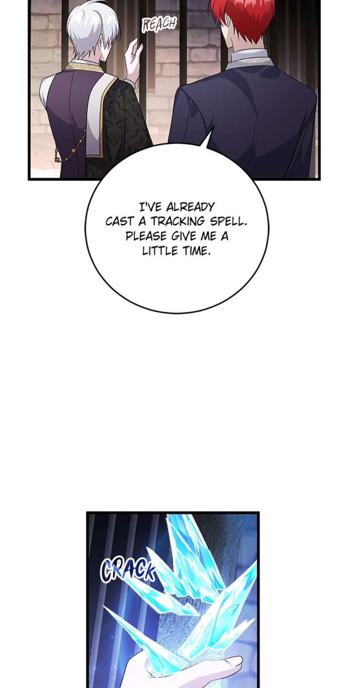 I Plan To Become The Master Of A Stolen Family - Chapter 86 - 15