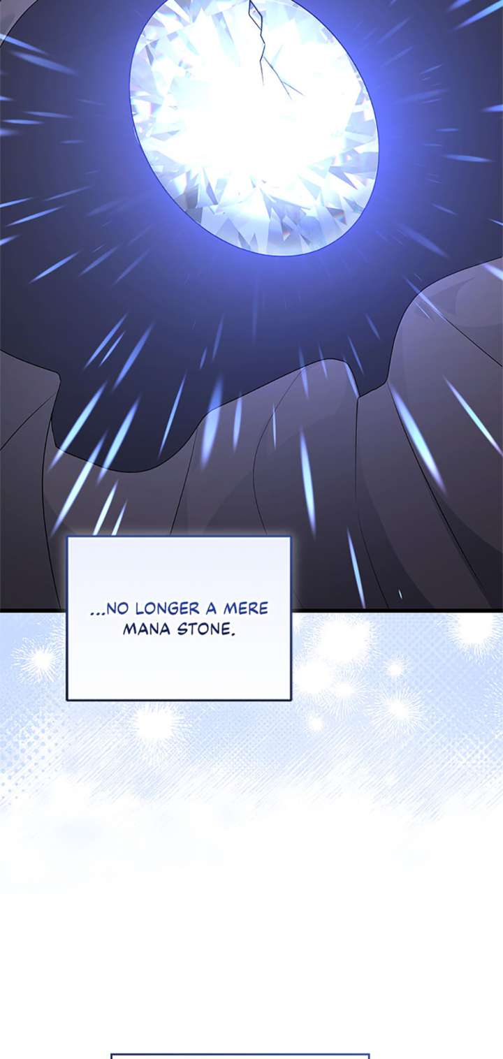 I Plan To Become The Master Of A Stolen Family - Chapter 86 - 58