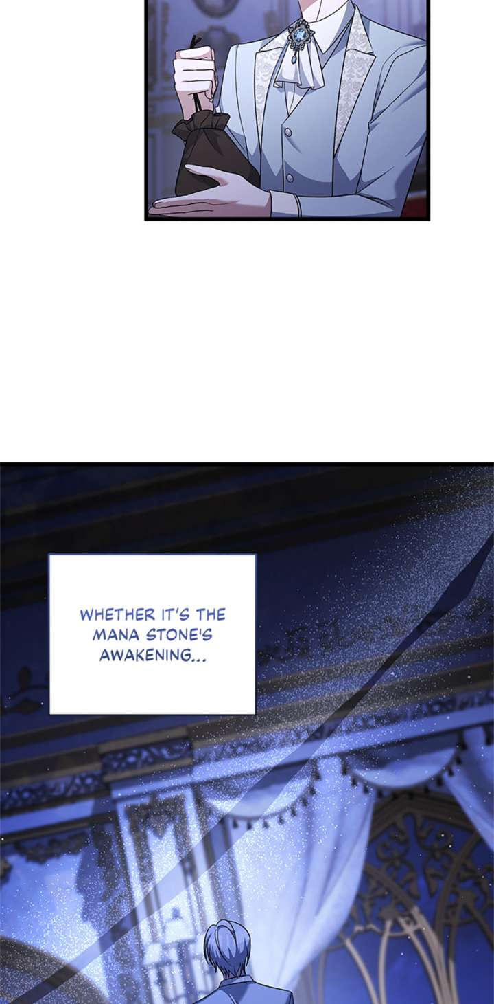 I Plan To Become The Master Of A Stolen Family - Chapter 87 - 8