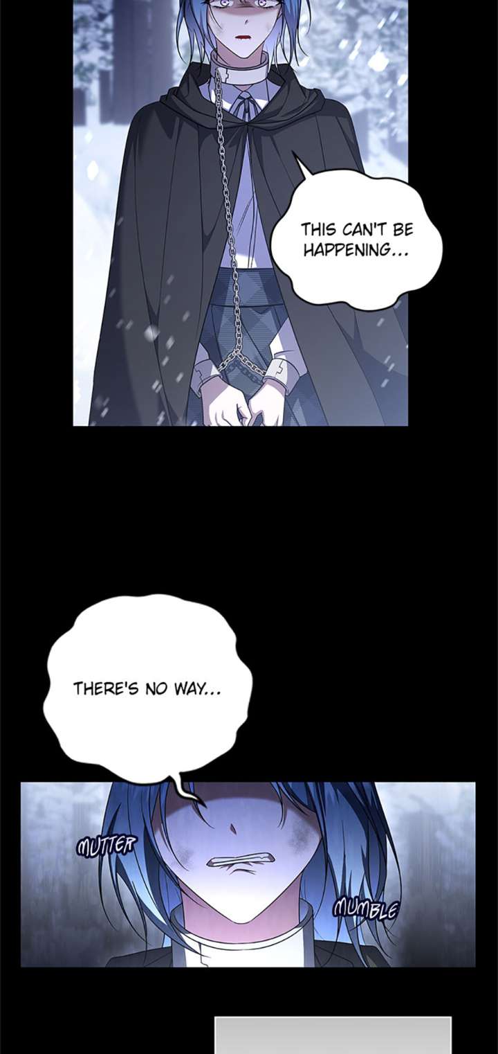 I Plan To Become The Master Of A Stolen Family - Chapter 87 - 17