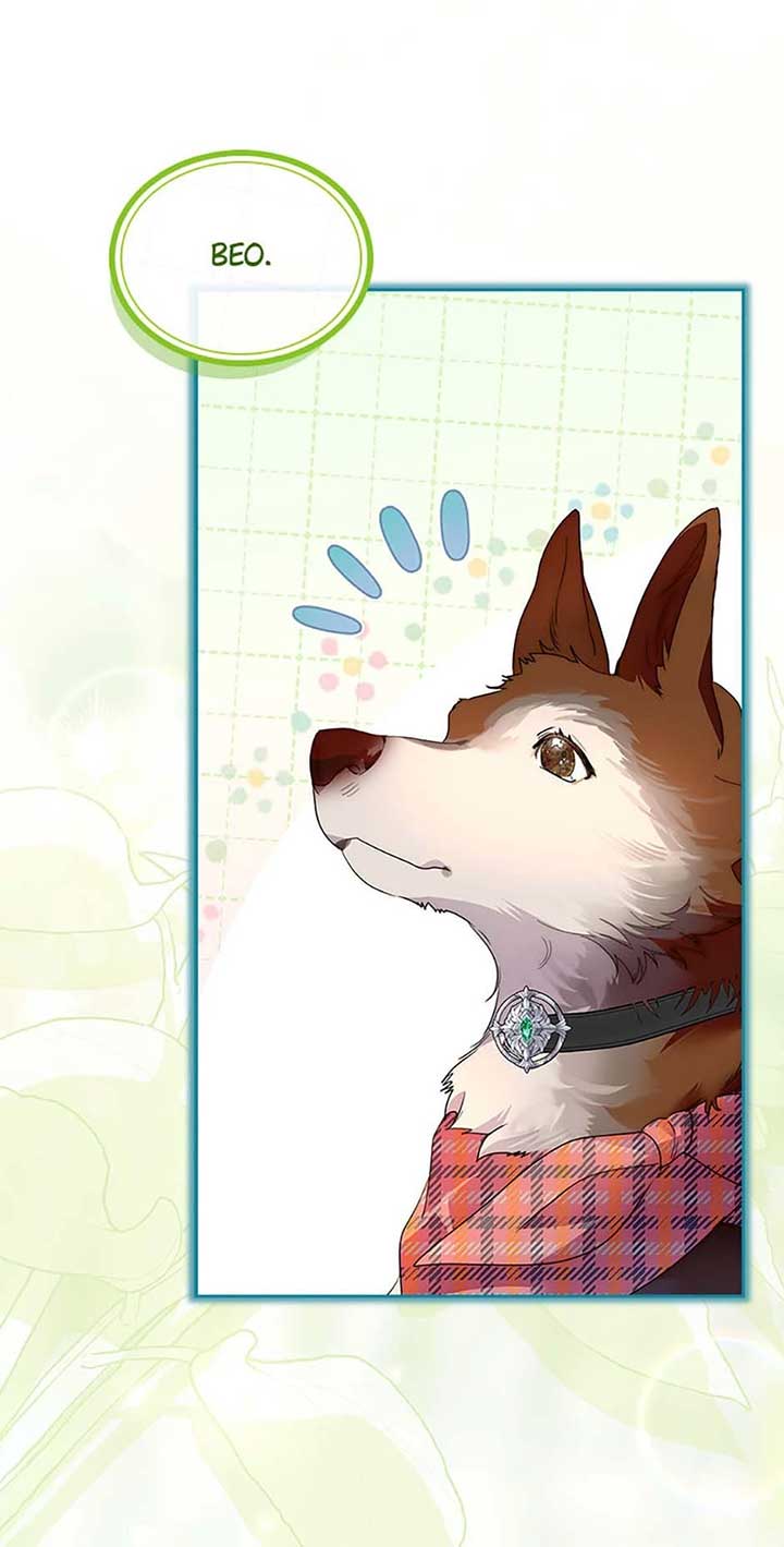 I Raised the Nine – Tailed Fox Wrongly Chapter 40 - Page 74