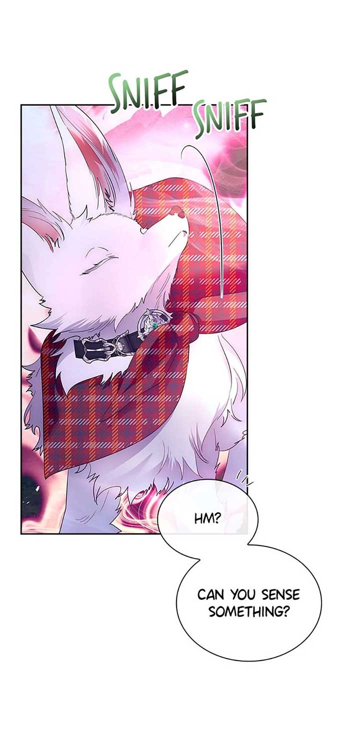 I Raised the Nine – Tailed Fox Wrongly Chapter 41 - Page 29