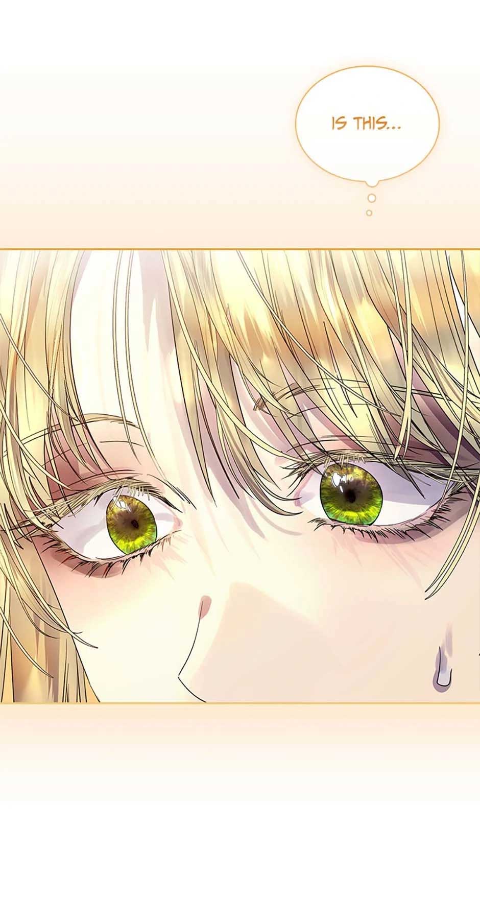 I Raised the Nine – Tailed Fox Wrongly Chapter 44 - Page 17