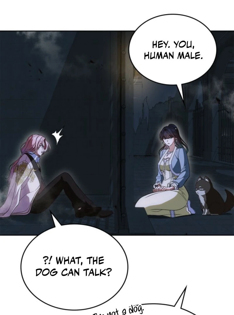 I Stole the Heroine’s First Love - Chapter 88 - 118