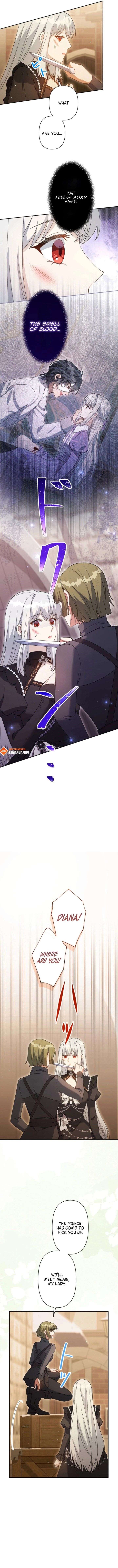 I Wanted a Divorce, But My Husband Became Obsessed With Me Chapter 38 - Page 9