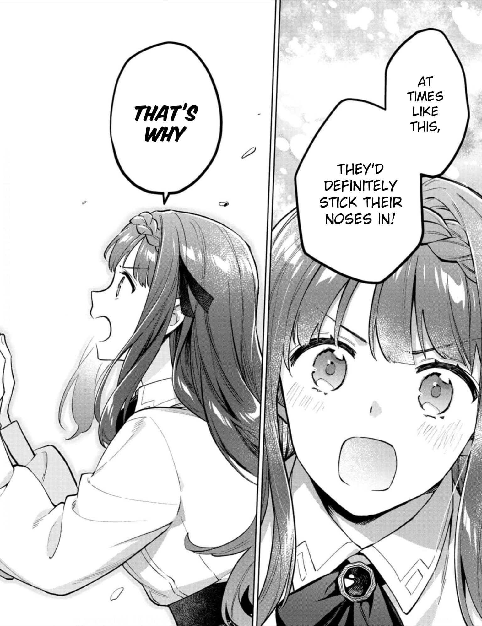 I Was Reincarnated as the Older Brother of a Villainess Destined to Die, so I Want to Change the Future by Raising My Younger Sister with My Own Hands: I Am the Strongest in the World, but My Little Sister Must Be the Cutest in the World Chapter 17 - Page 7