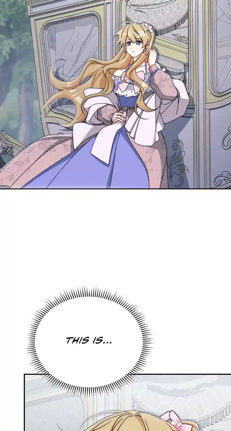 I Will Take Responsibility for the Welfare of the Male Lead Chapter 118 - Page 67