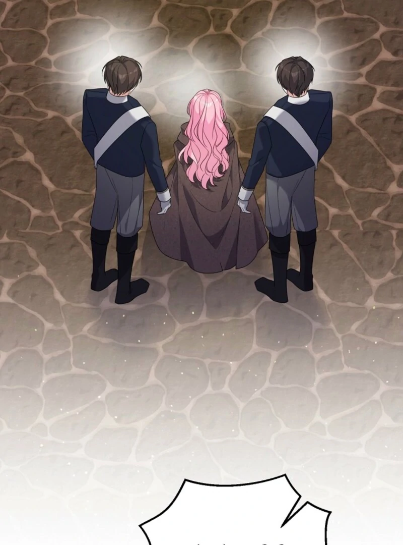 I will try to seduce the male lead for my brother Chapter 94 - Page 22