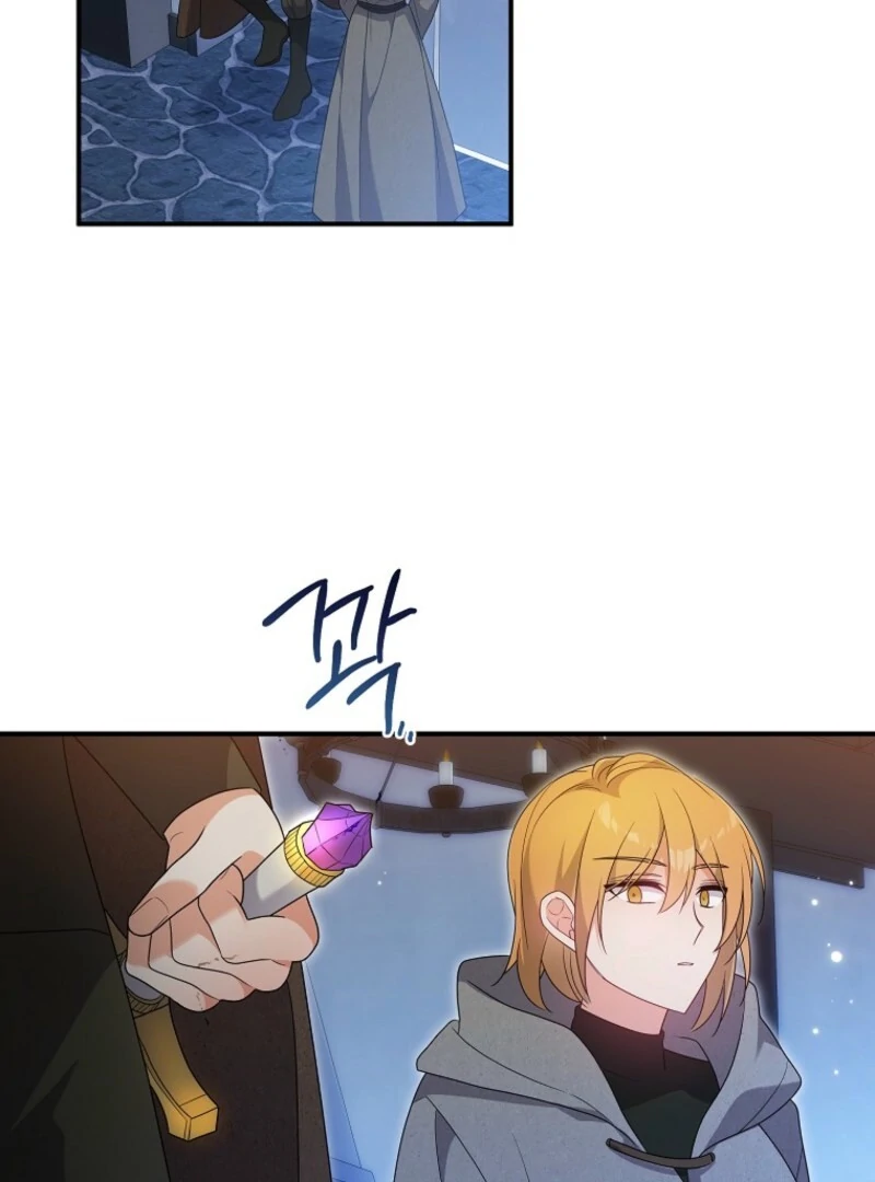 I will try to seduce the male lead for my brother Chapter 95 - Page 21