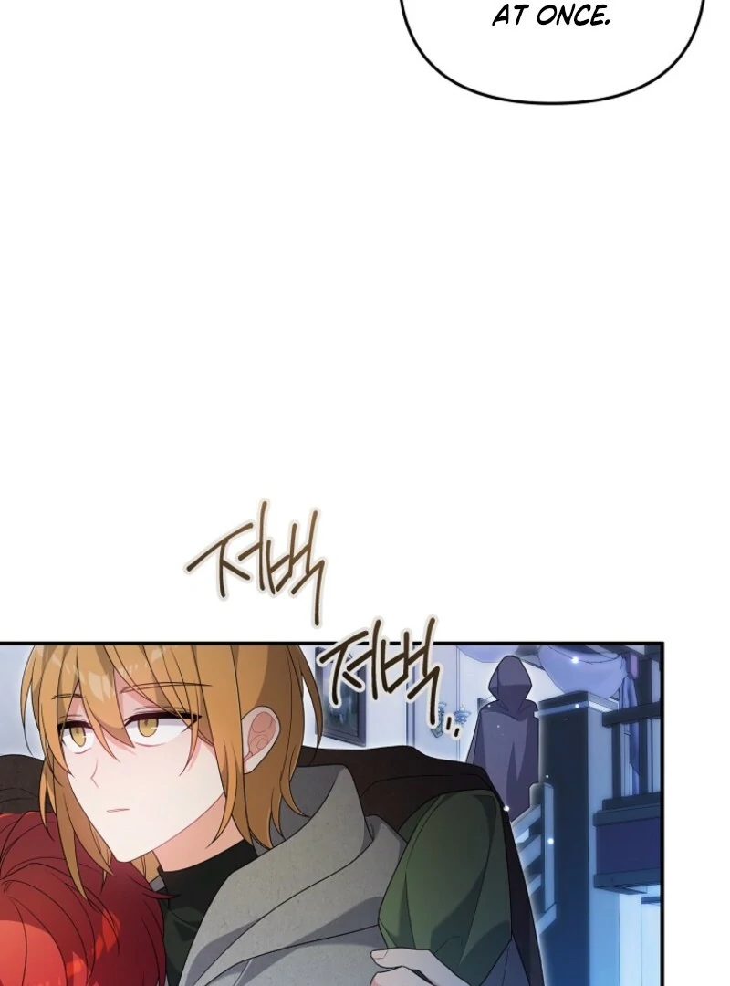 I will try to seduce the male lead for my brother Chapter 95 - Page 25