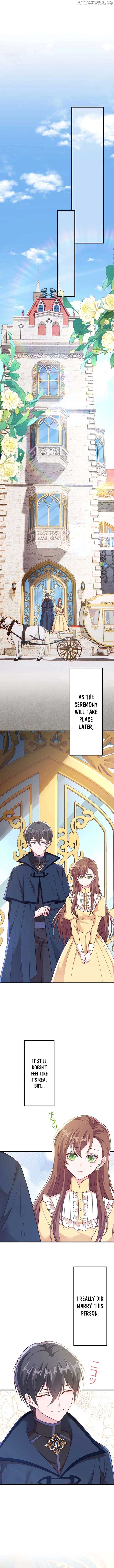 If I Pay The Whole Debt Will You Accept The Divorce - Chapter 10 - 5