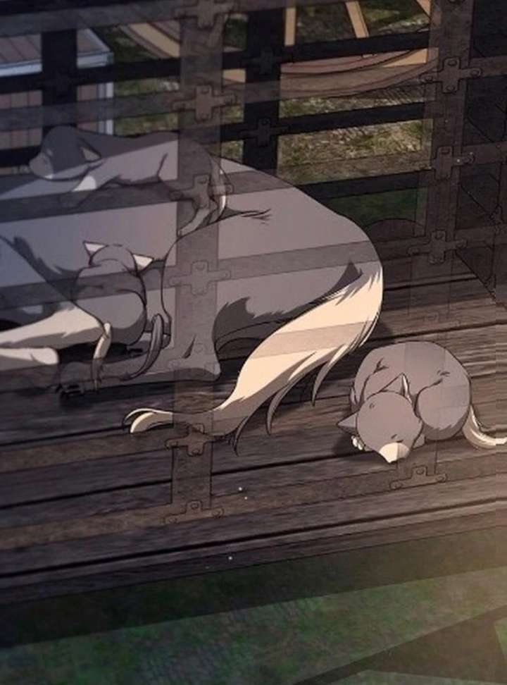 If You Want a Cheeky Sorceress - Chapter 24 - 116