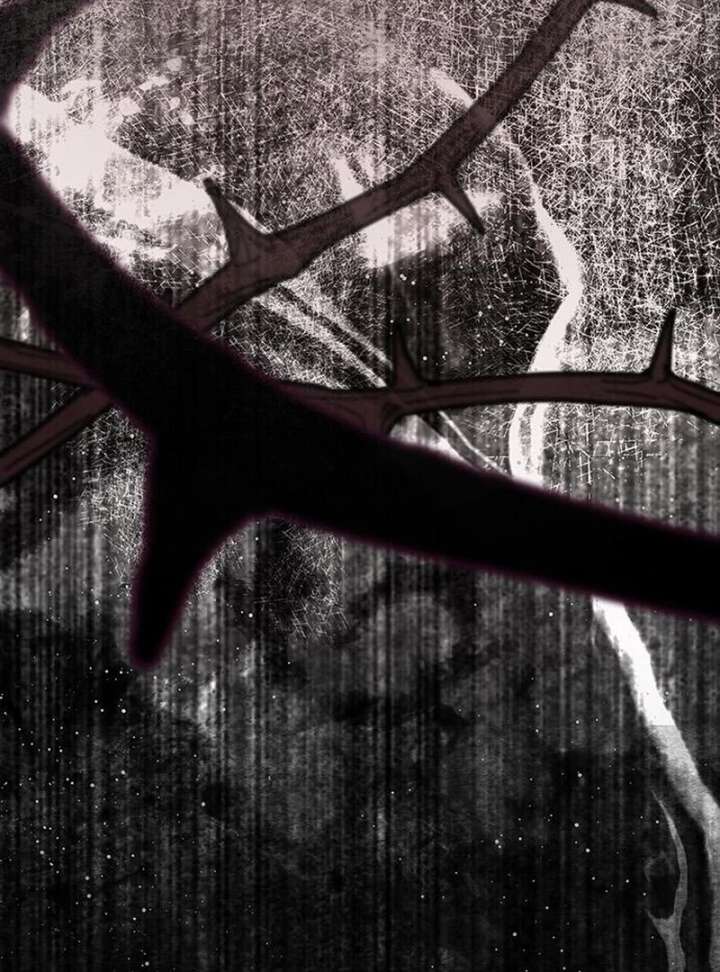 If You Want a Cheeky Sorceress - Chapter 26 - 4