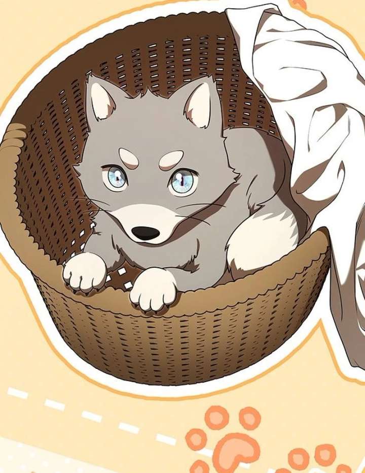 If You Want a Cheeky Sorceress - Chapter 26 - 161