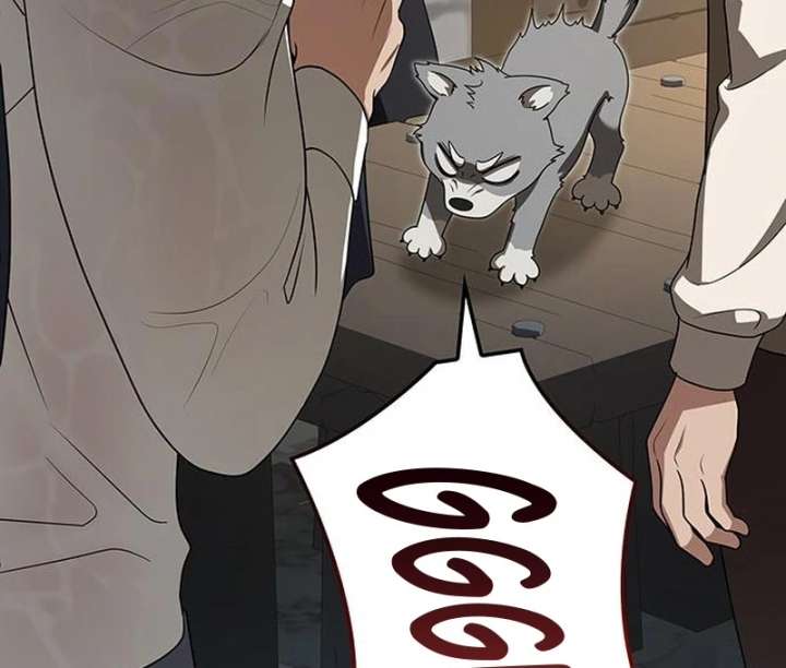 If You Want a Cheeky Sorceress - Chapter 26 - 197