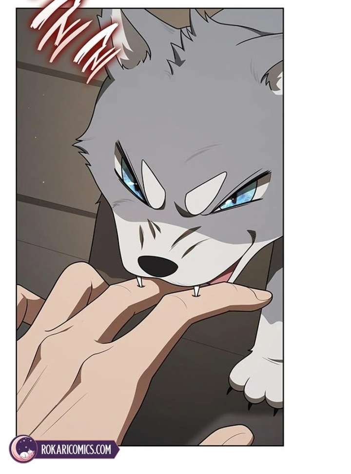 If You Want a Cheeky Sorceress - Chapter 26 - 204