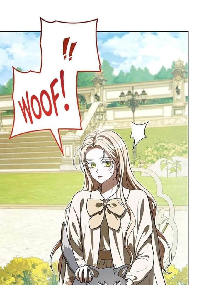 If You Want a Cheeky Sorceress - Chapter 28 - 103