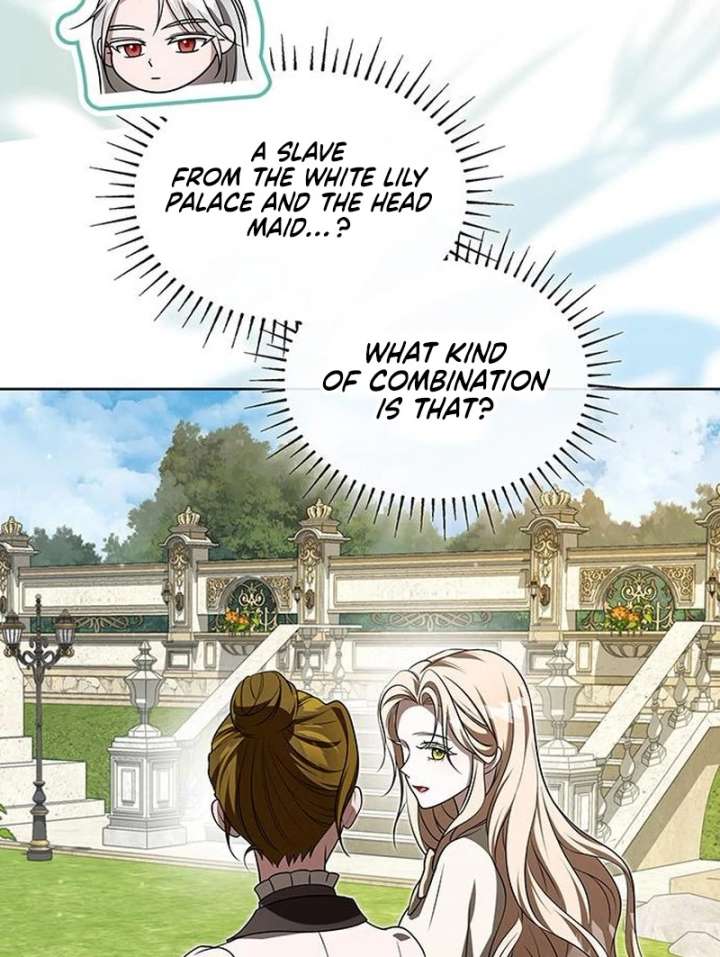 If You Want a Cheeky Sorceress - Chapter 28 - 136