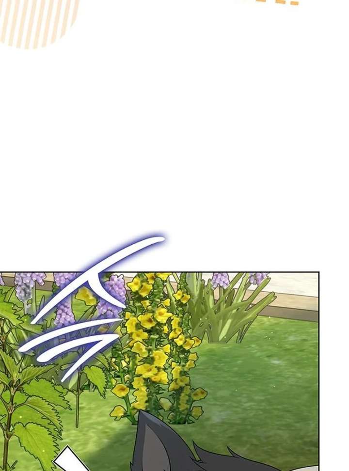 If You Want a Cheeky Sorceress - Chapter 28 - 151