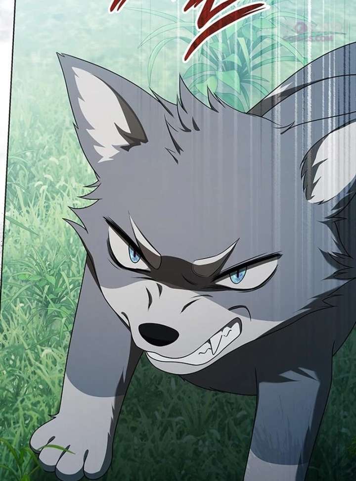 If You Want a Cheeky Sorceress Chapter 29 - Page 5