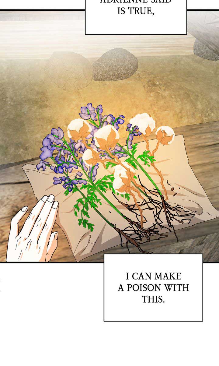 If You Want a Fake Sister - Chapter 68 - 66