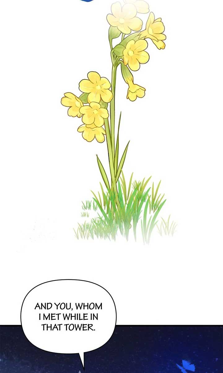 If You Want a Fake Sister Chapter 79 - Page 81