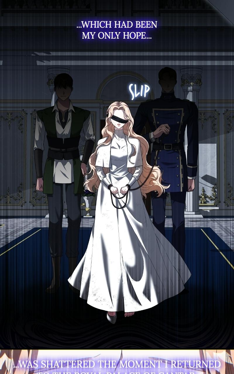 I'll Be Anything You Desire Chapter 2 - Page 12