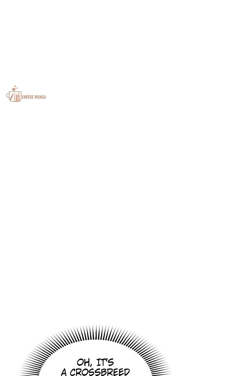 I’ll Save a Decent Family Chapter 119 - Page 74