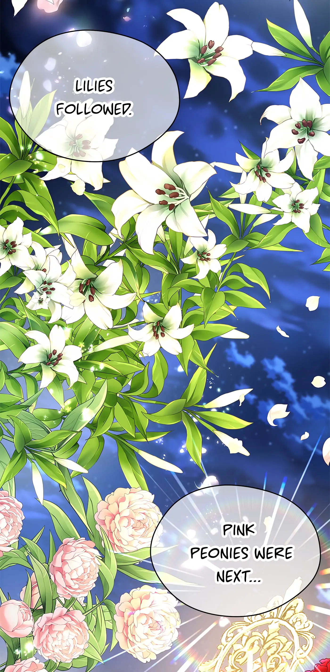 I’m Not a Warrior! Chapter 41 - Page 13