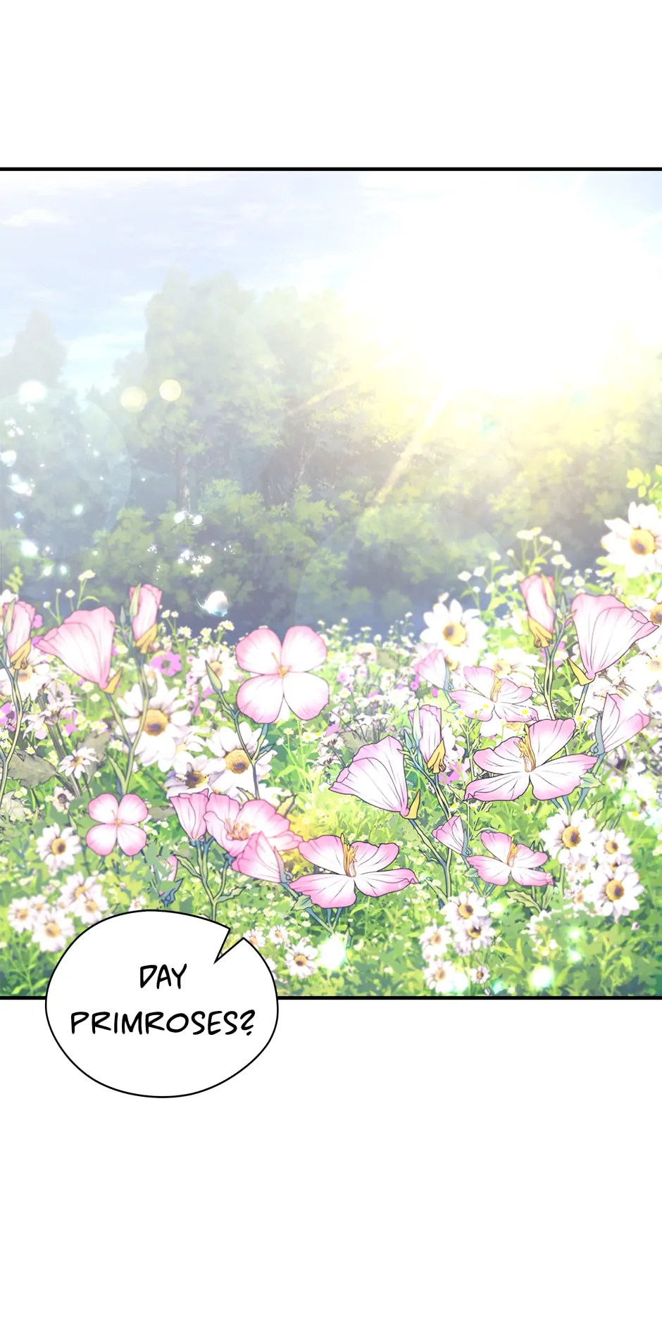 I’m Not a Warrior! Chapter 122 - Page 57