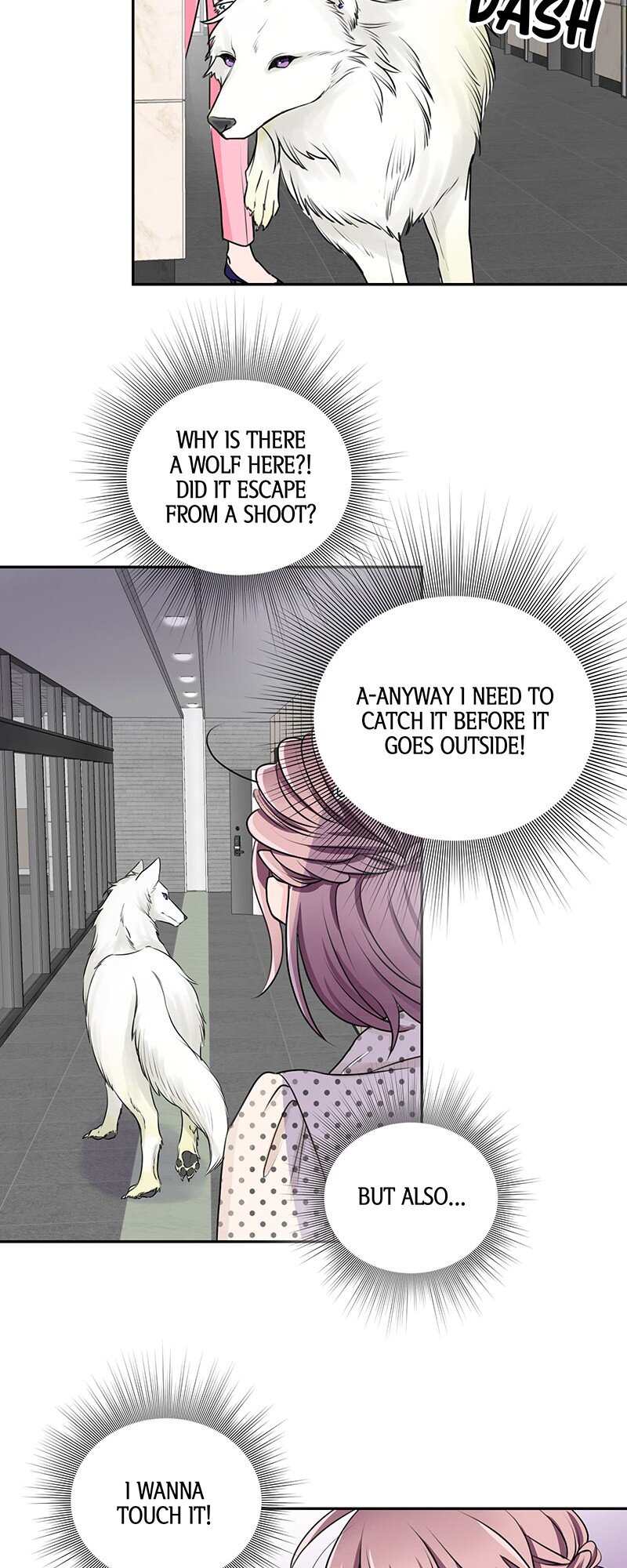 I’m NOT Afraid of Wolves! [Official] Chapter 5 - Page 22